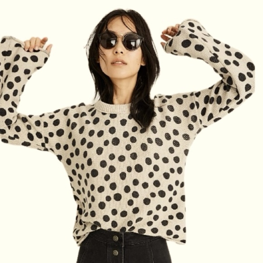 Madewell Dot Cropped Crewneck Sweater